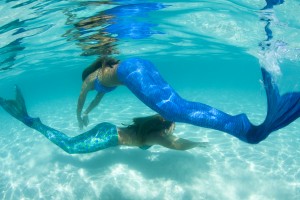 IMG_8356
